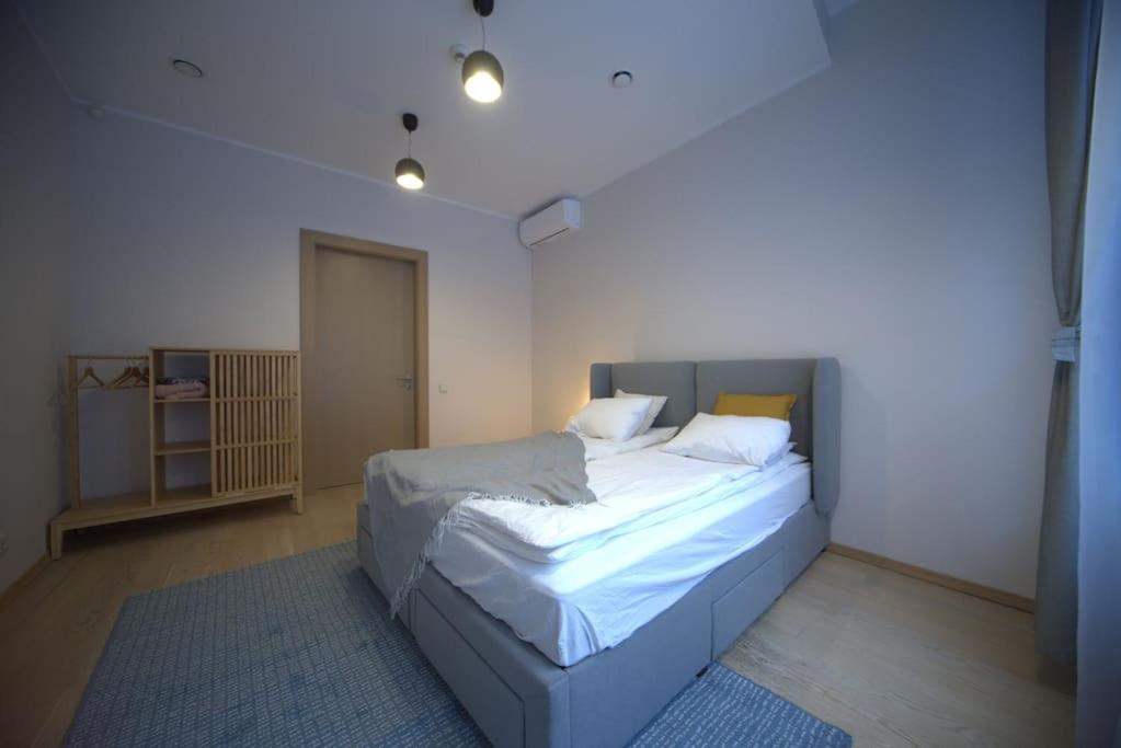 3 Bedroom Apartment In The Old/T Riga Extérieur photo